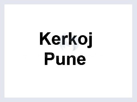 Kerkoj pune 