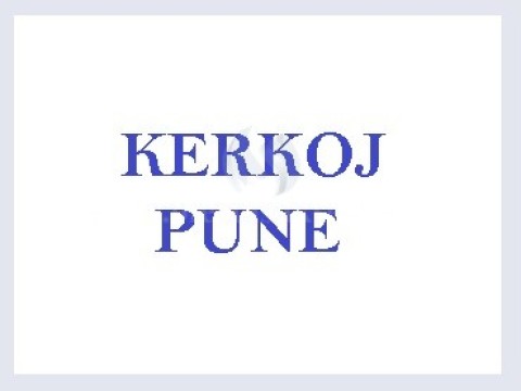 Kerkoj pune