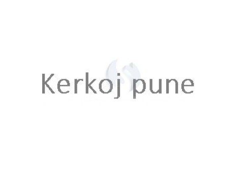 Kerkoj pune