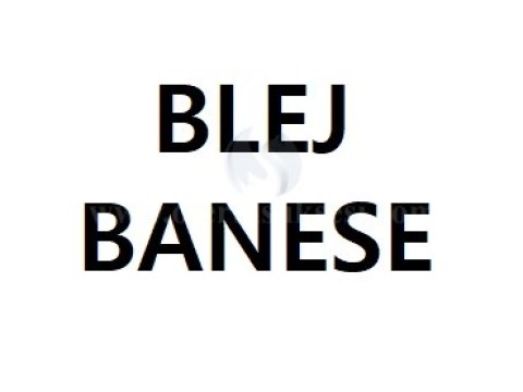 BLEJ BANES