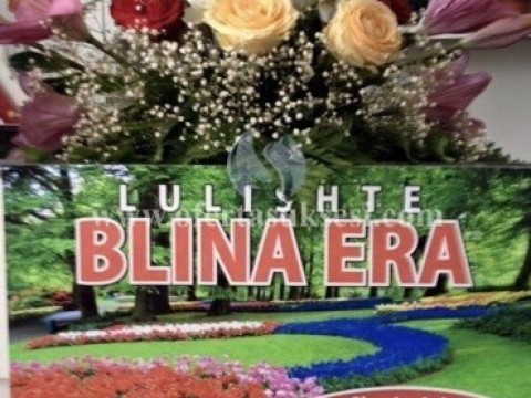 Ofroj pune per lulishte