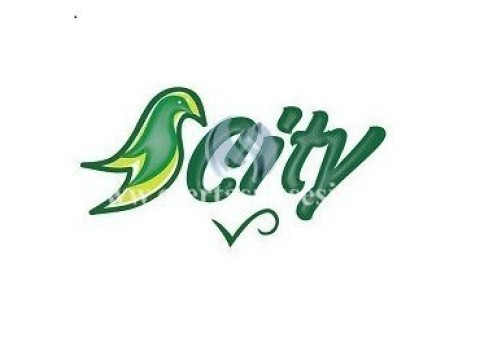 Ofroj pune per menaxhere te shitjes ne teren-femer 