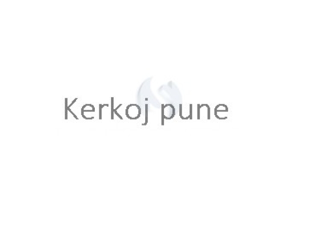 Kerkoj pune