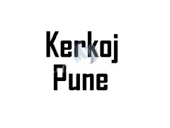 Kerkoj pune 