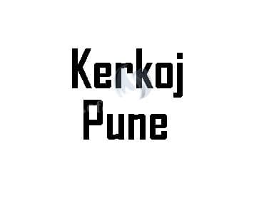 Kerkoj pune — fotografia 1