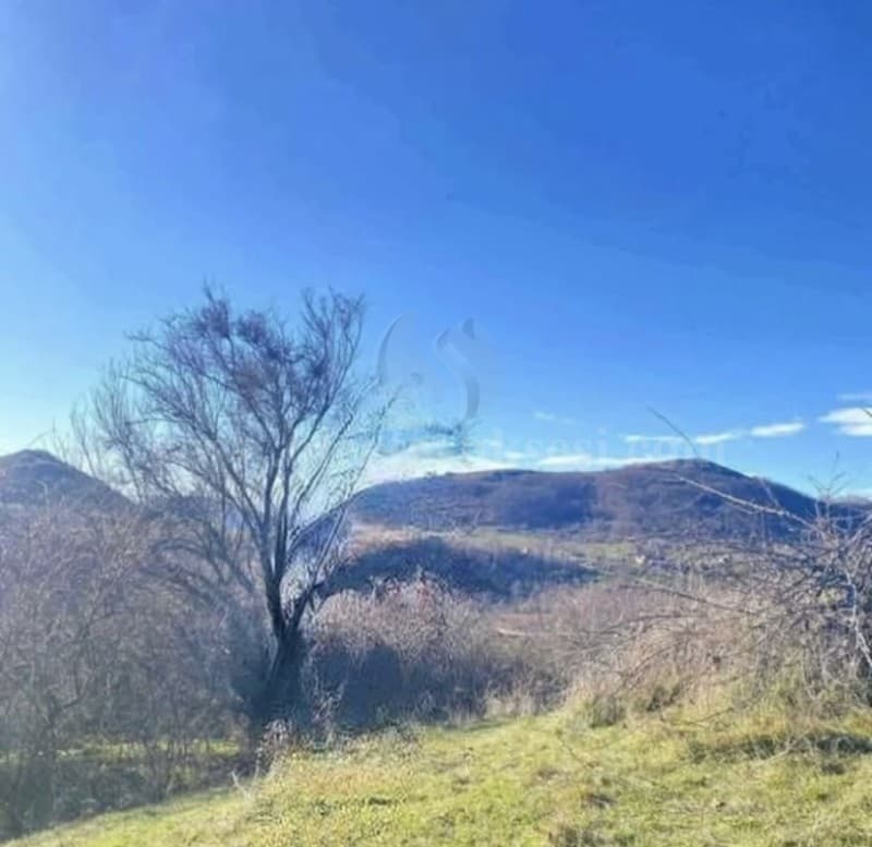 Shes 3 hektar e 30 ari / Prishtine — fotografia 1