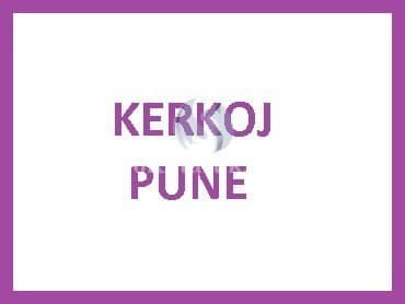 Kerkoj pune — fotografia 1