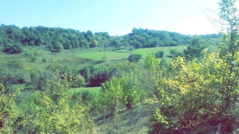 Shes 3 hektar e 10 ari toke / Prishtine — fotografia 2