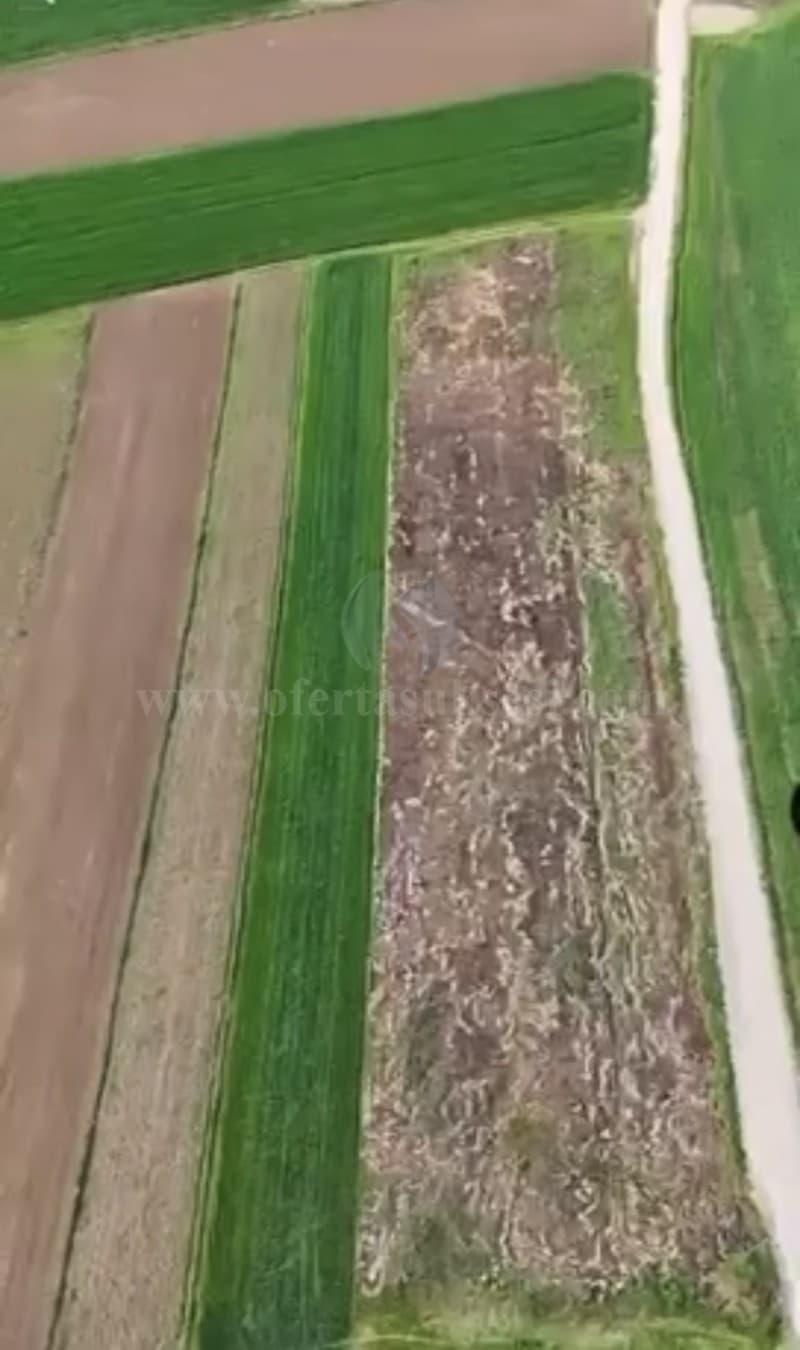 Shes 45 ari truall / Prishtine — fotografia 4