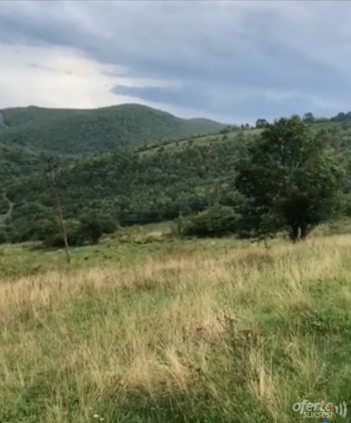 Shes 1 Hektar Tokë në Plitkoviq (Bjeshkas) komuna e Lipjan — fotografia 3