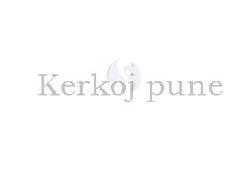 Kerkoj pune