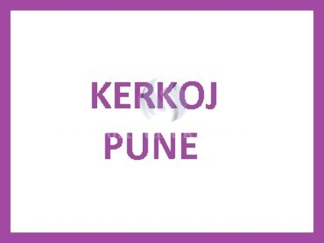 Kerkoj pune