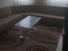 Kerkoj bashkebanuese (F)